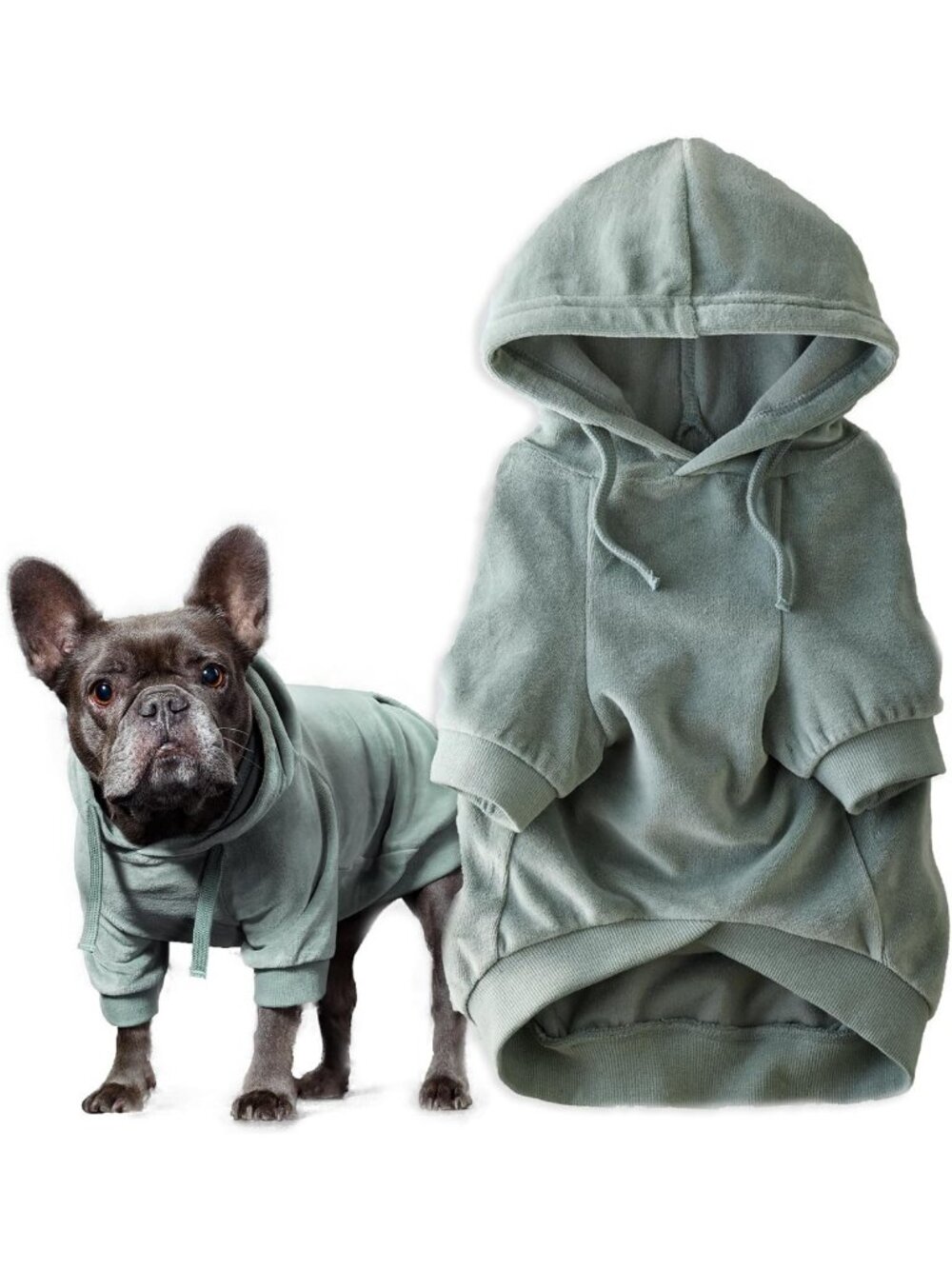 Cozy Sage X-Large Dog Hoodie - Stylish Pet Apparel for Cold Weather Comfort